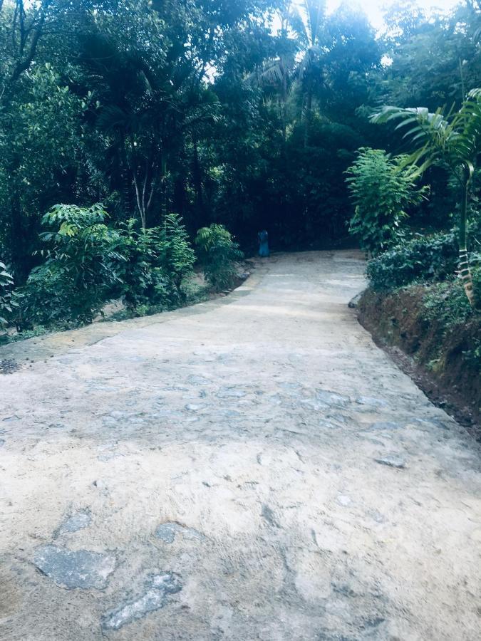 Desire Village Rakwana المظهر الخارجي الصورة